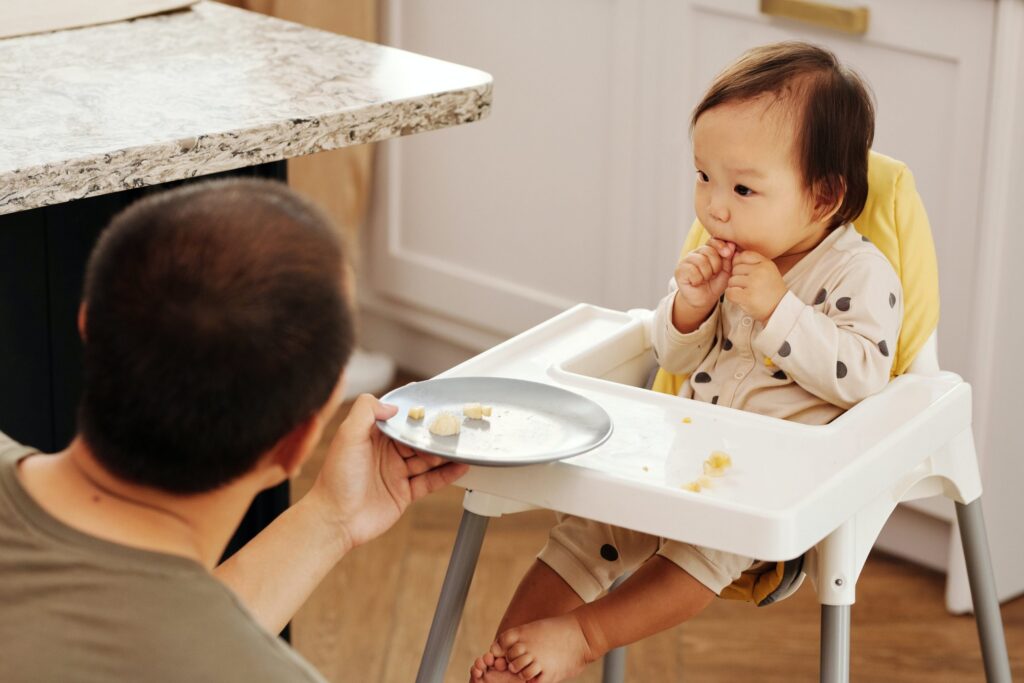 portable highchair