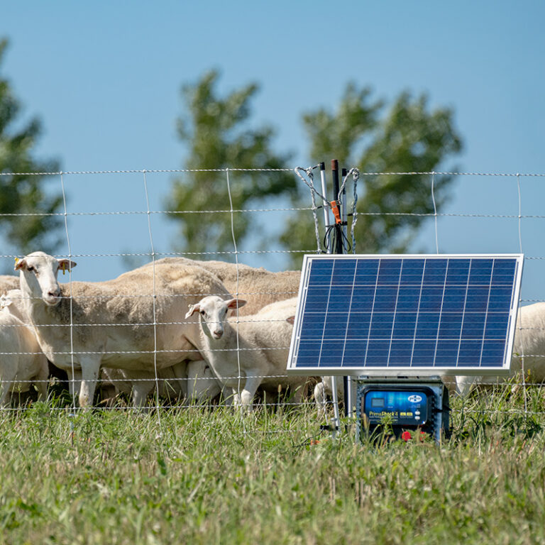 Portable Electric Fence