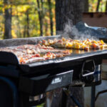 griddle portable