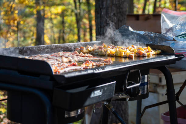 griddle portable