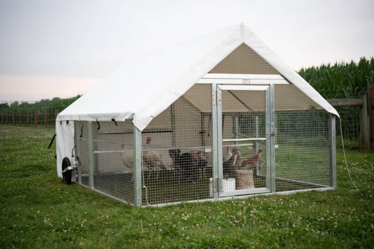 Portable Chicken Coop on Wheels